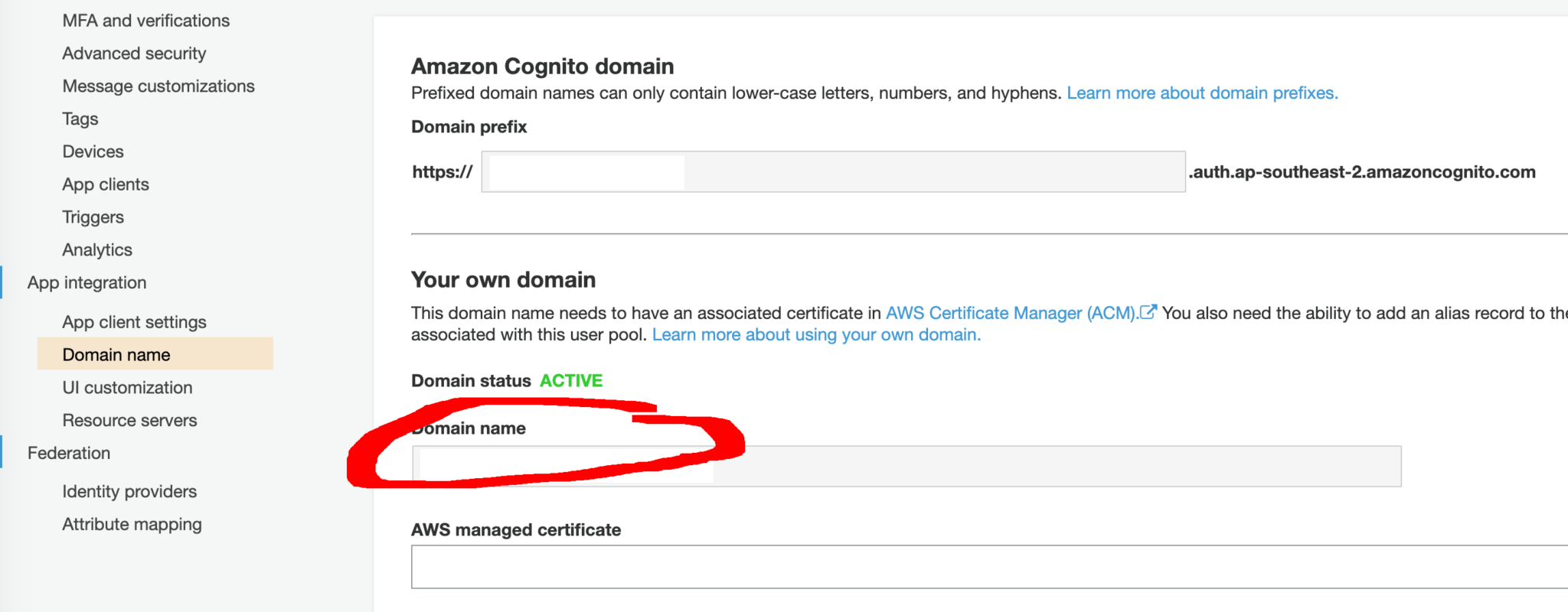 React Native – How to authenticate with AWS Cognito? – COLLECTION